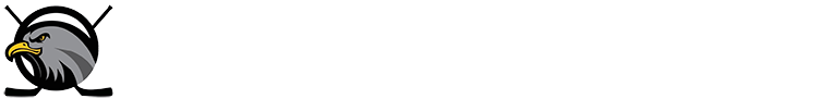 Flying Eagles - Inline Hockey Club