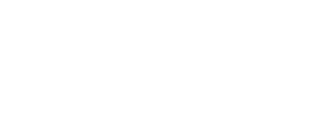 Inline Hockey Club Flying Eagles